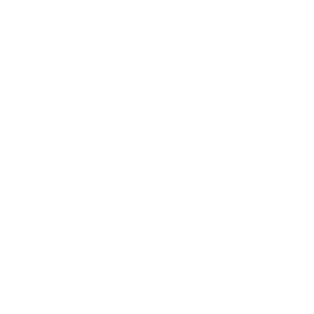 logo story bois blanc