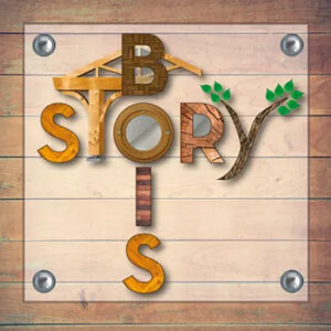 logo story bois couleur